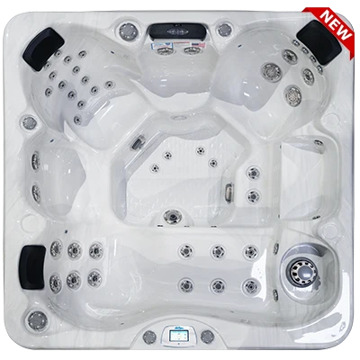 Avalon-X EC-849LX hot tubs for sale in Jacksonville